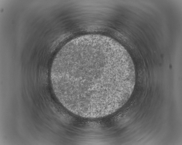 X0000062840592200602101539
