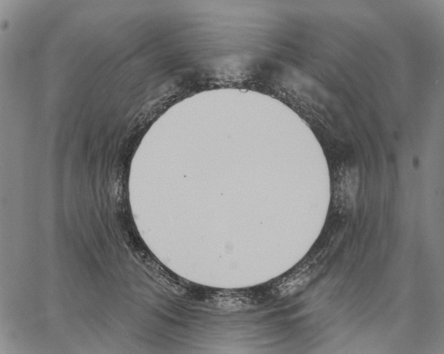 X0000062840608200602101538