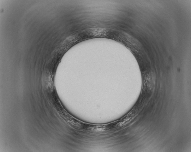 X0000062840651200602101538