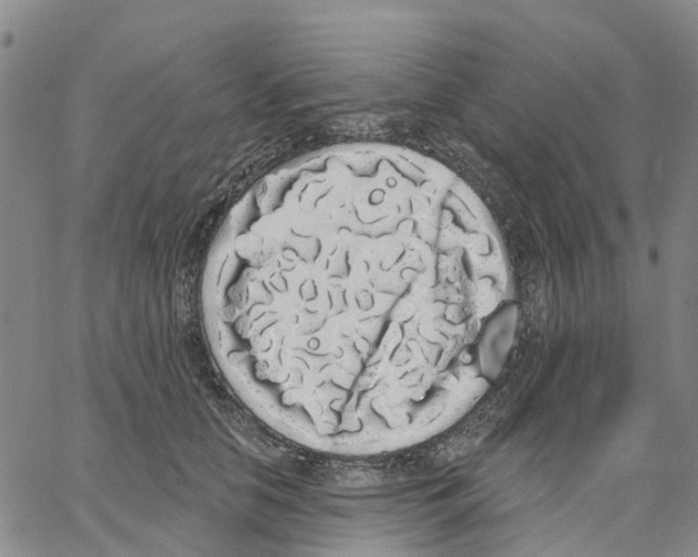 X0000062840658200602101538