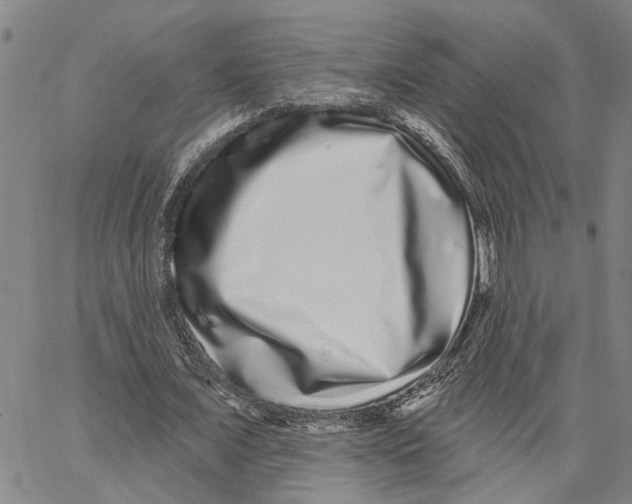 X0000062840675200602101537