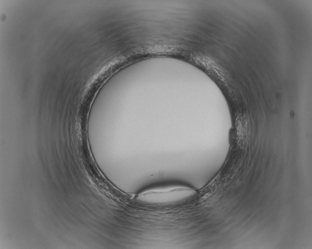 X0000062840684200602101537