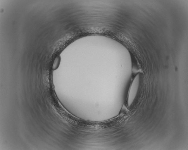 X0000062840688200602101537