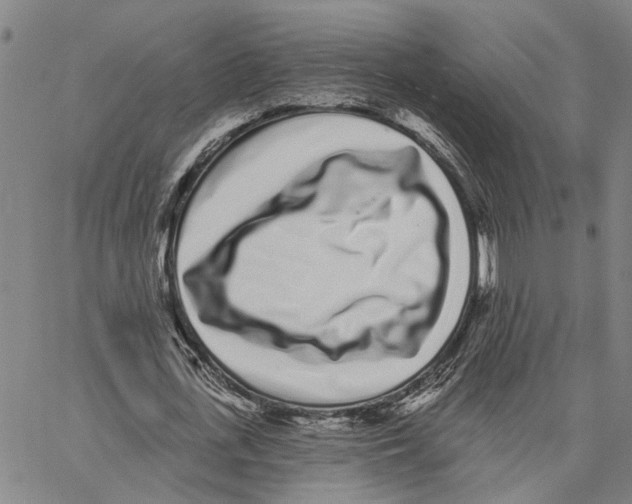 X0000062840723200602101536