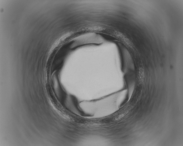 X0000062840726200602101536