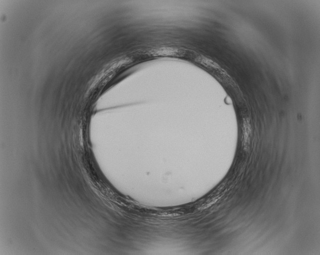 X0000062840734200602101536