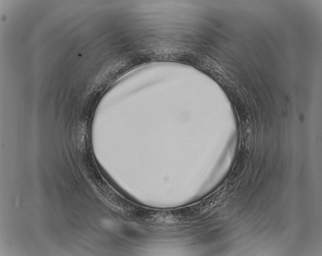 X0000062840742200602101536