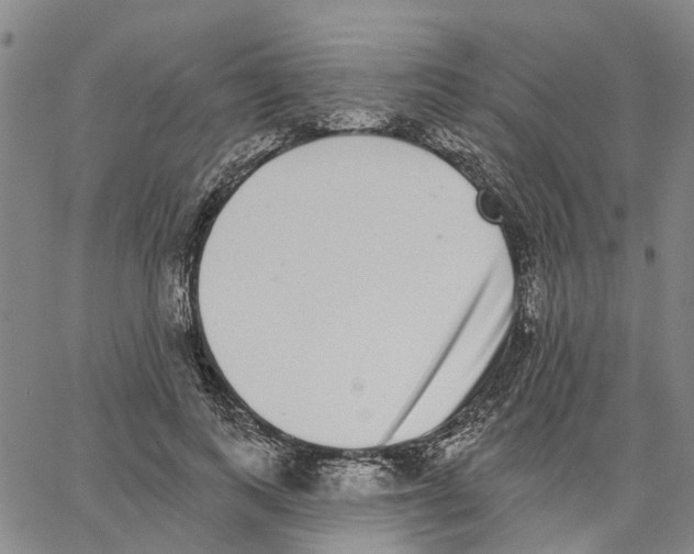 X0000062840743200602101536