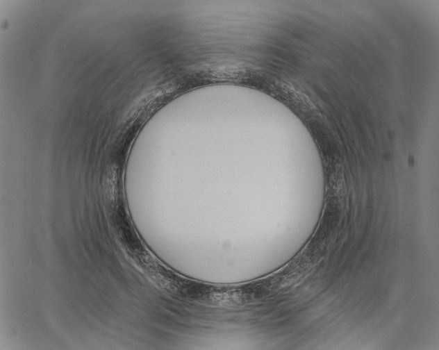 X0000062840744200602101536
