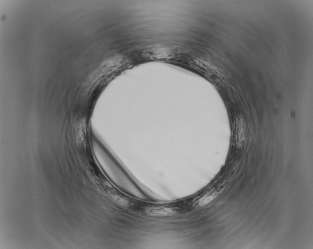 X0000062840747200602101536
