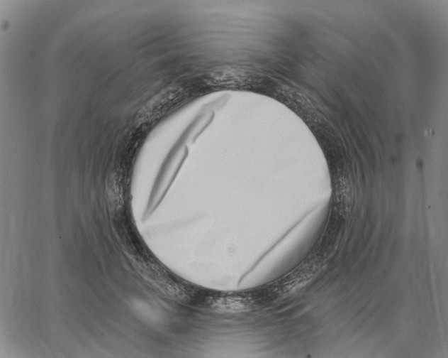 X0000062840751200602101536