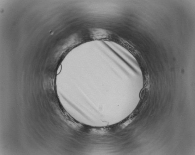 X0000062840763200602101536