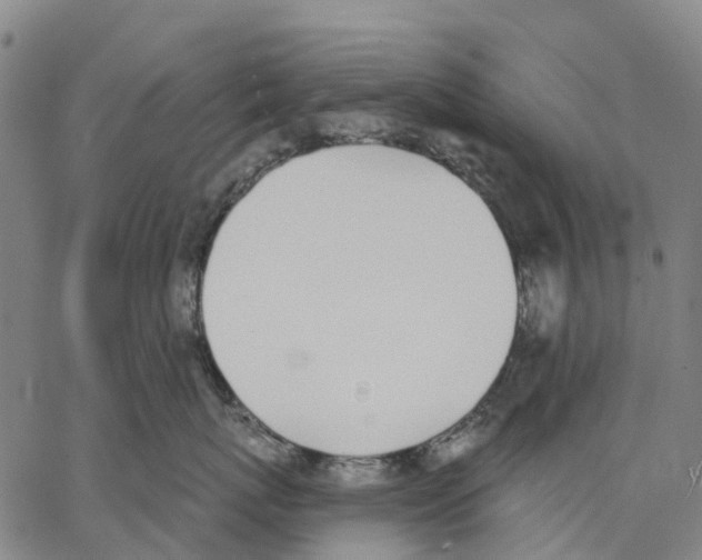 X0000062840767200602101536
