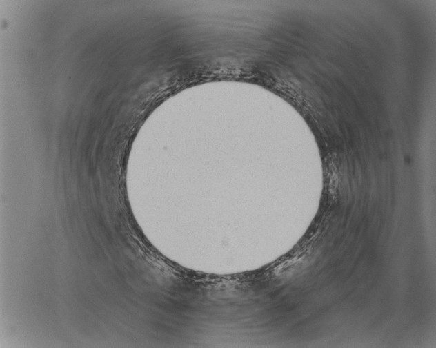 X0000062840769200602101536
