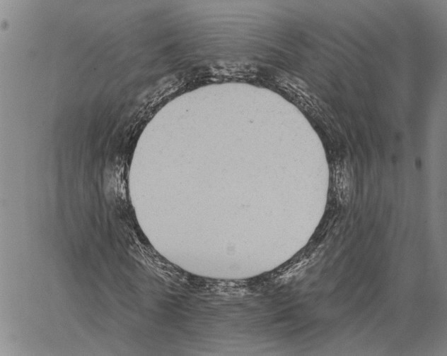 X0000062840770200602101536