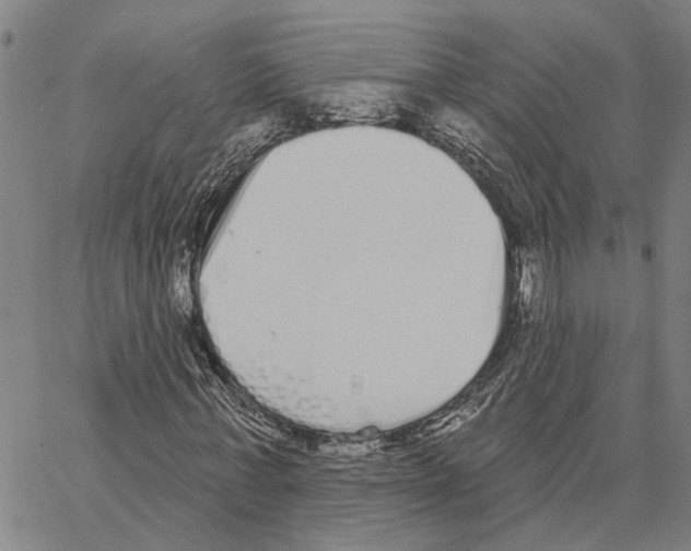 X0000062840771200602101536