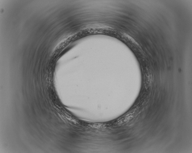 X0000062840775200602101536
