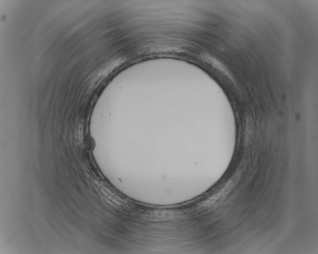 X0000062840777200602101536