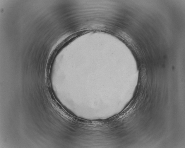 X0000062840780200602101536
