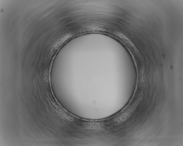 X0000062840785200602101535