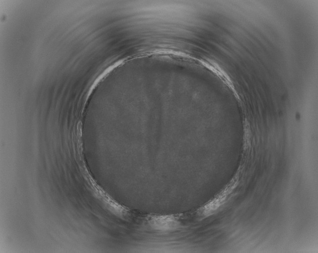 X0000062840798200602101535