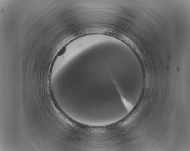 X0000062840802200602101535