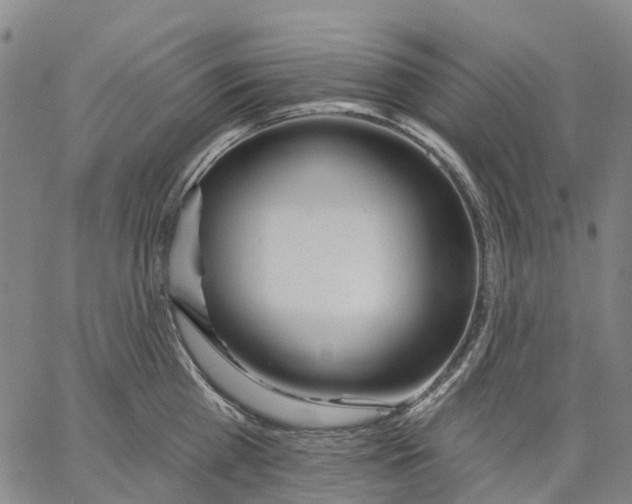 X0000062840809200602101535