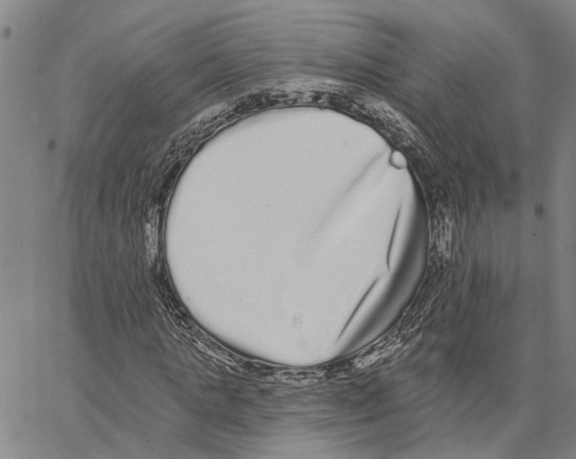 X0000062840821200602101534
