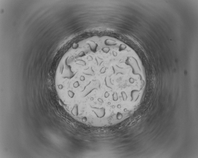 X0000062840823200602101534