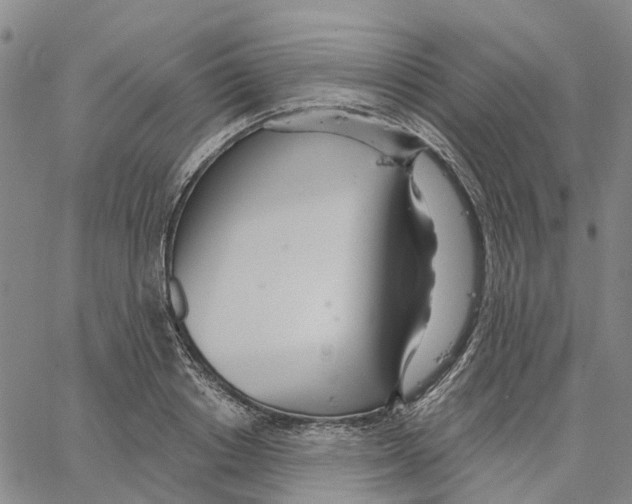 X0000062840842200602101535
