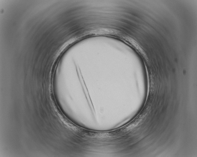 X0000062840845200602101535