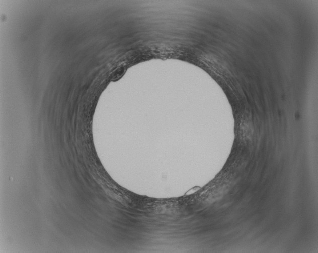 X0000062840865200602101534