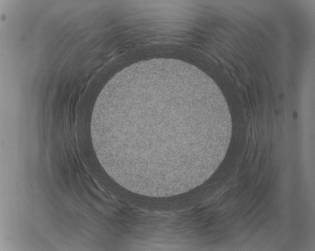 X0000062840866200602101534