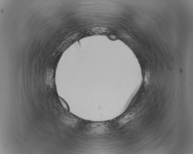 X0000062840867200602101534
