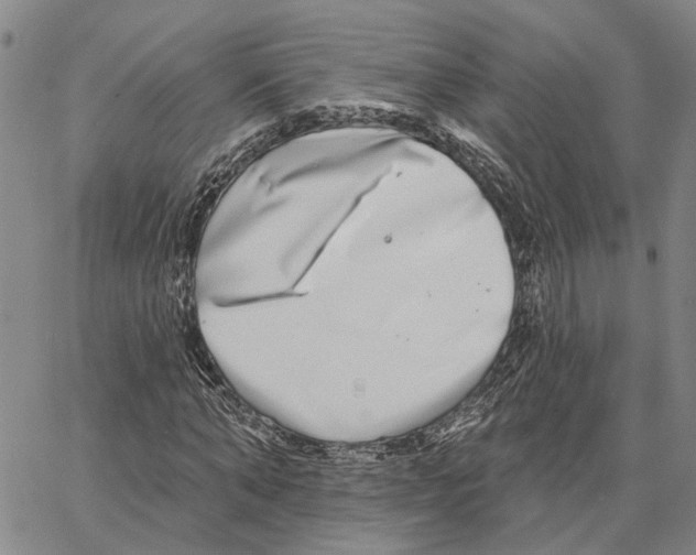 X0000062840870200602101534