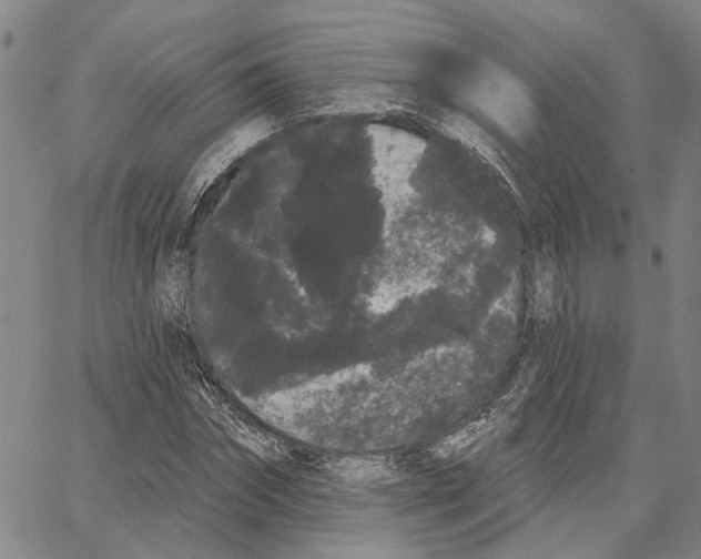 X0000062840874200602101534