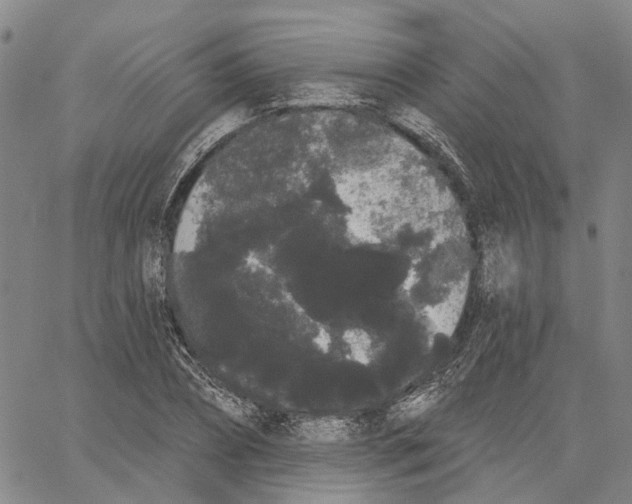 X0000062840882200602101534
