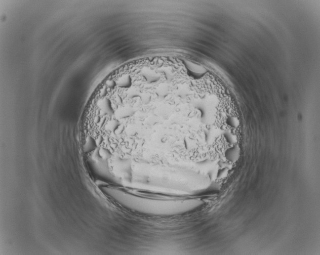 X0000062840907200602101533
