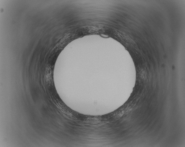 X0000062840914200602101533