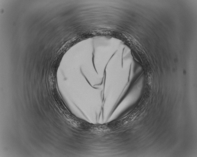 X0000062840915200602101533