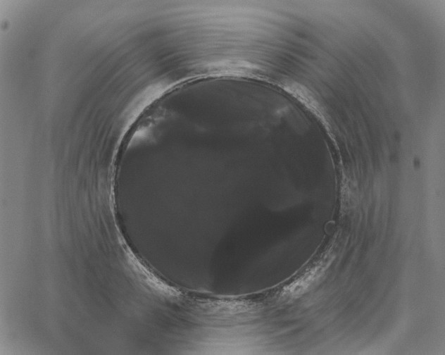 X0000062840941200602101533