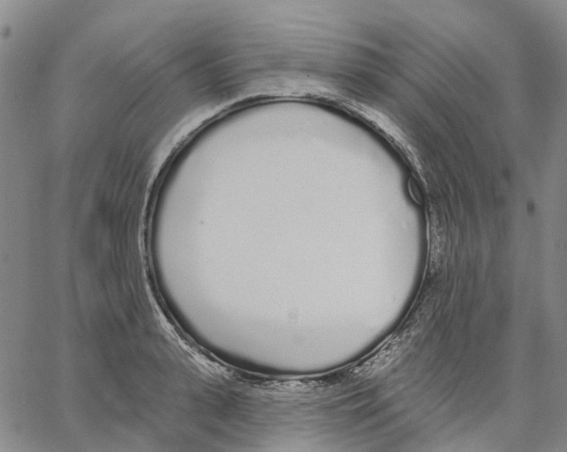 X0000062840943200602101533
