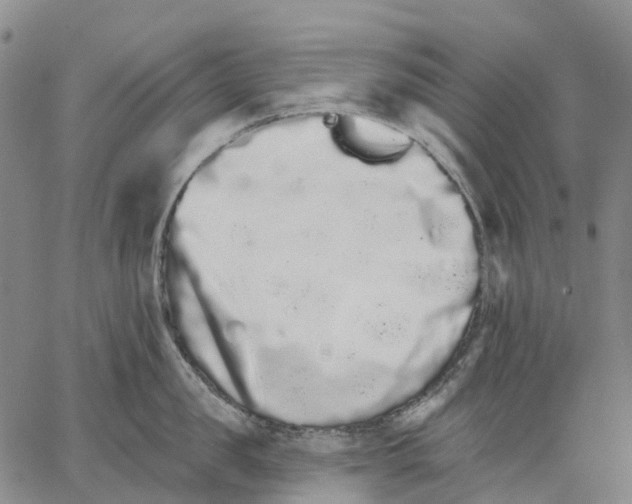 X0000062840957200602101533