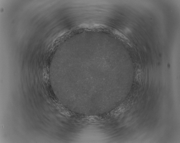 X0000062840966200602101533