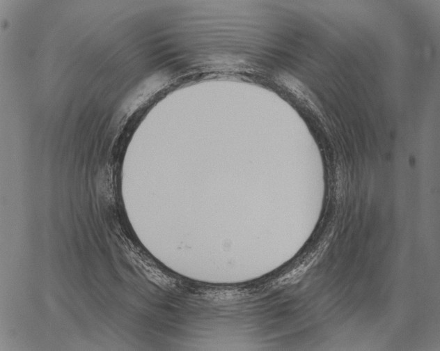 X0000062840970200602101532