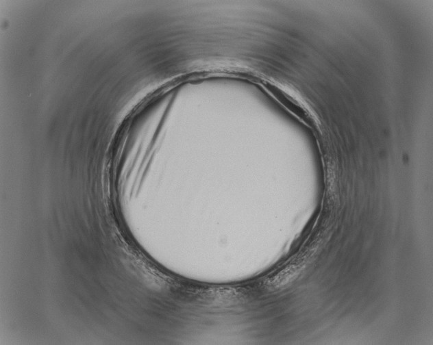 X0000062840983200602101532