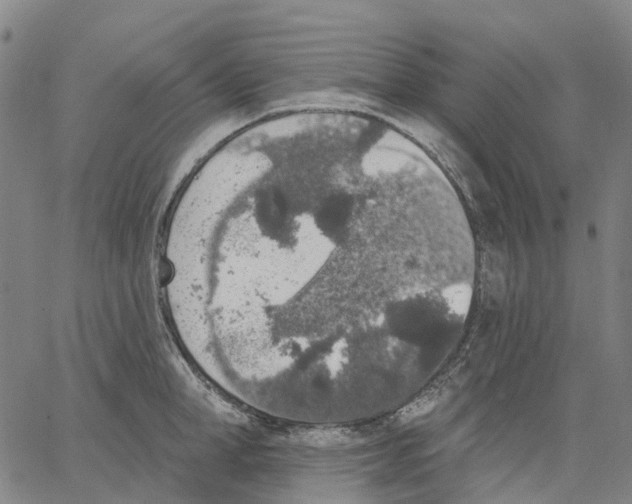 X0000062840998200602101532