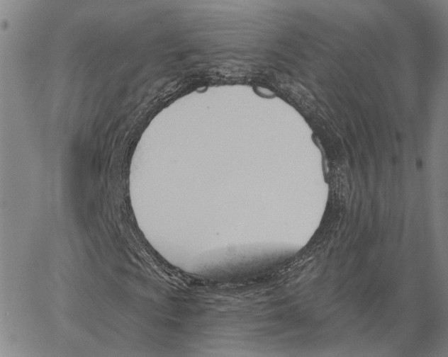 X0000062841009200602101531