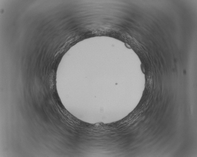 X0000062841012200602101531