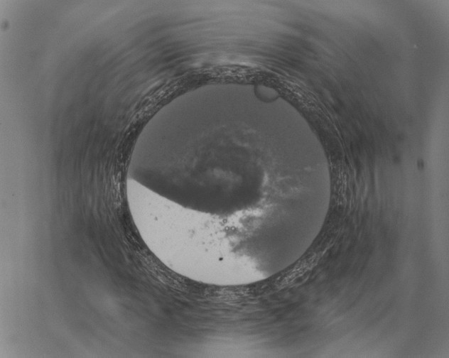 X0000062841013200602101531